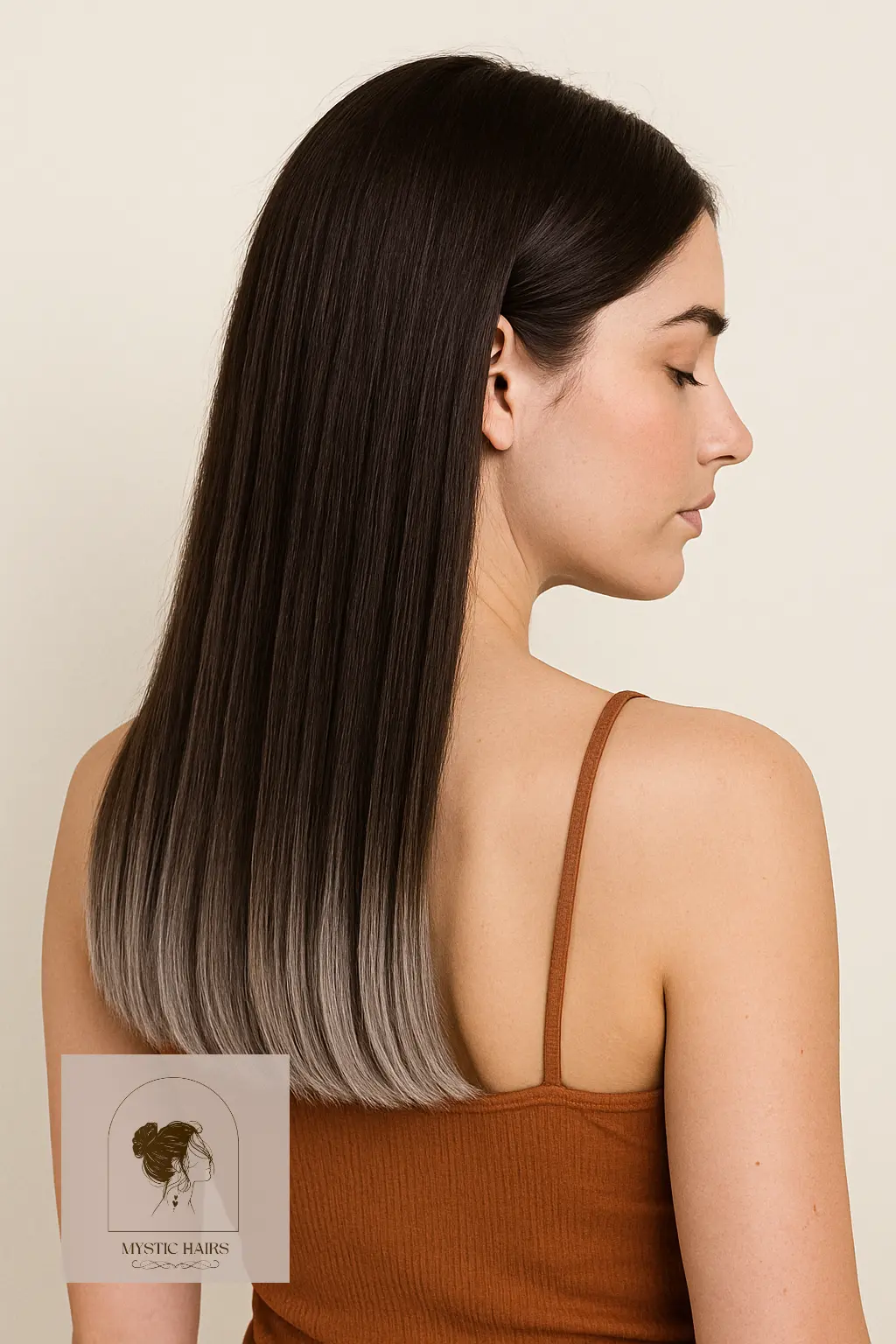 Dark Chocolate Hair with Silver Dip-Dye