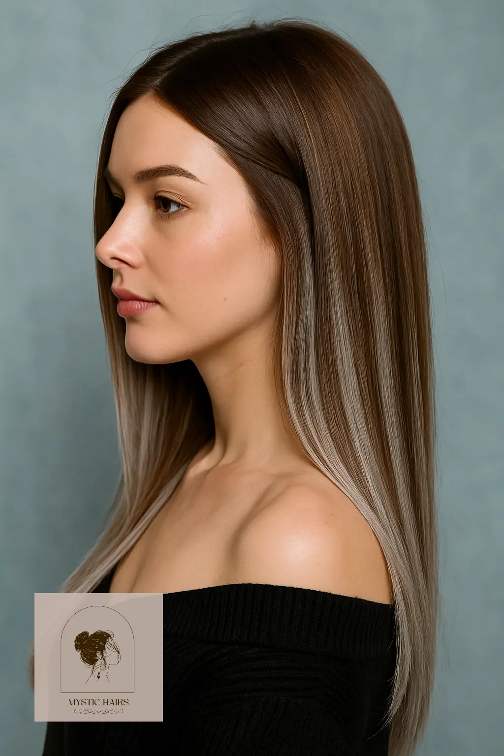 Milk Chocolate Hair with Cool Silver Highlights